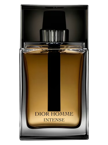 عطر دیور هوم اینتنس | Dior Homme Intense